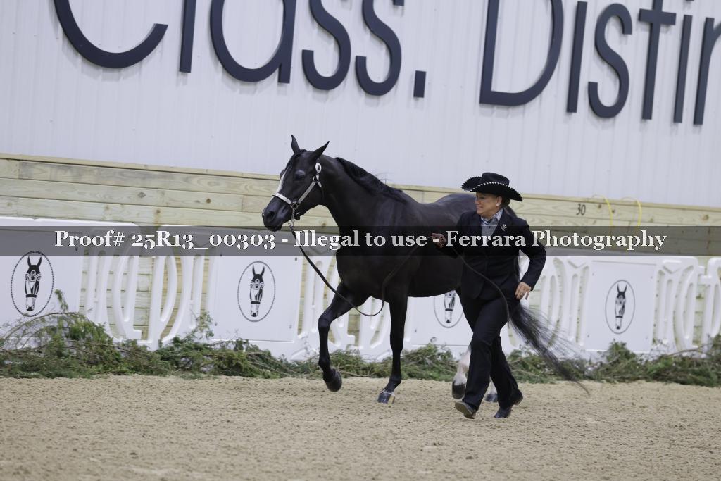 Proof 25R13_00303