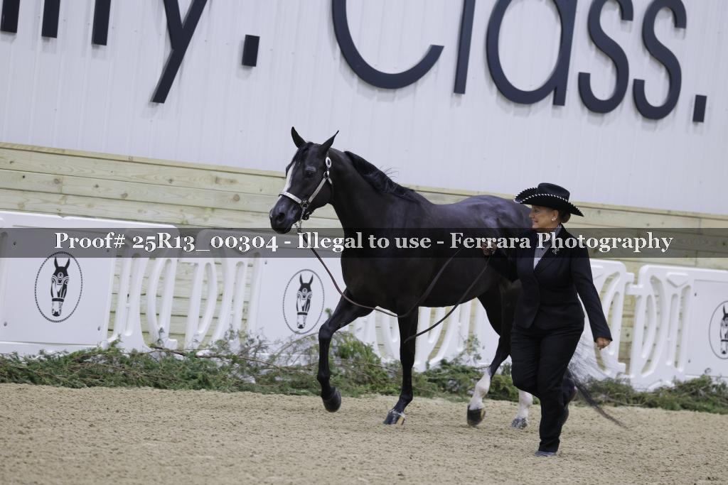 Proof 25R13_00304
