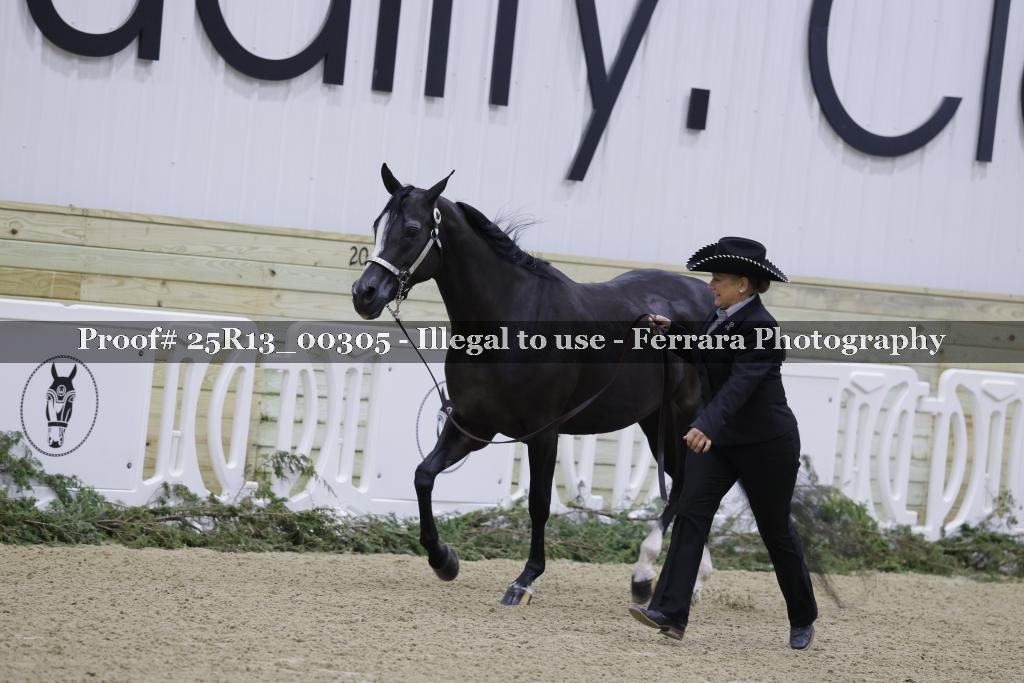 Proof 25R13_00305