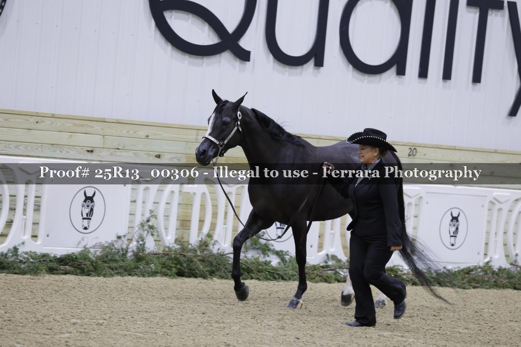 Proof 25R13_00306