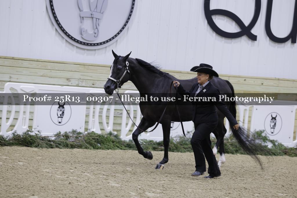 Proof 25R13_00307