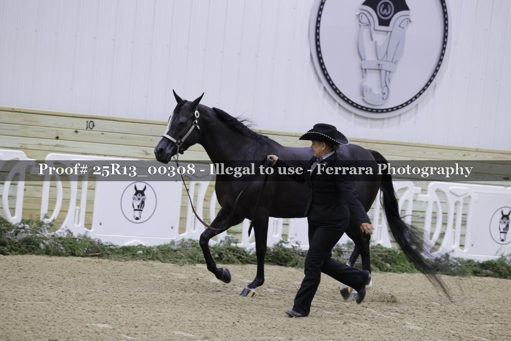Proof 25R13_00308