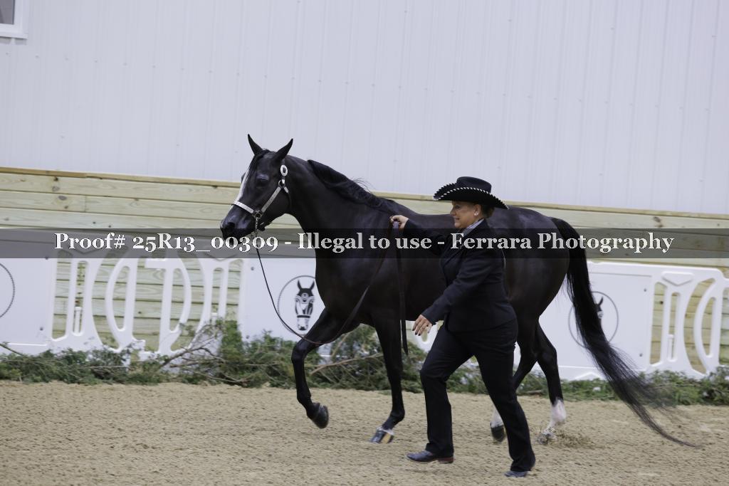 Proof 25R13_00309