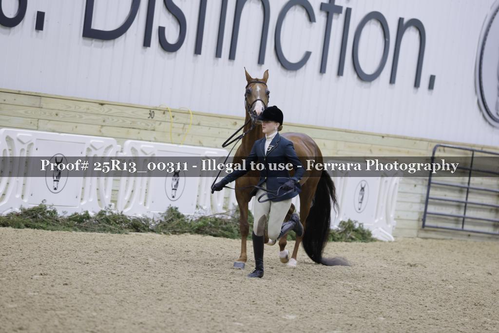 Proof 25R13_00311