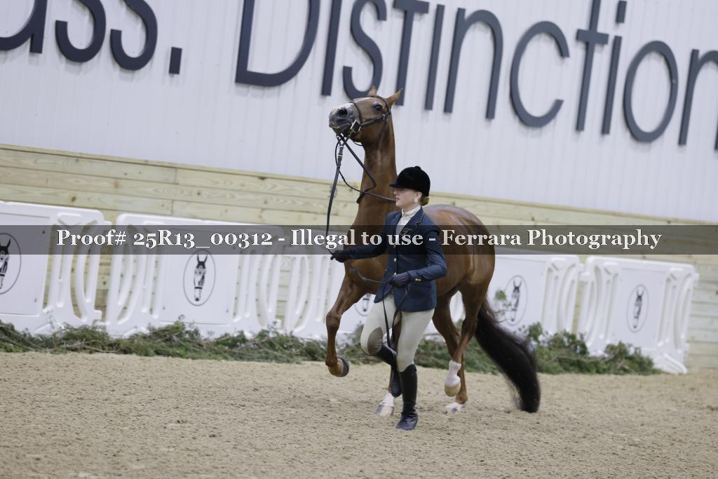 Proof 25R13_00312