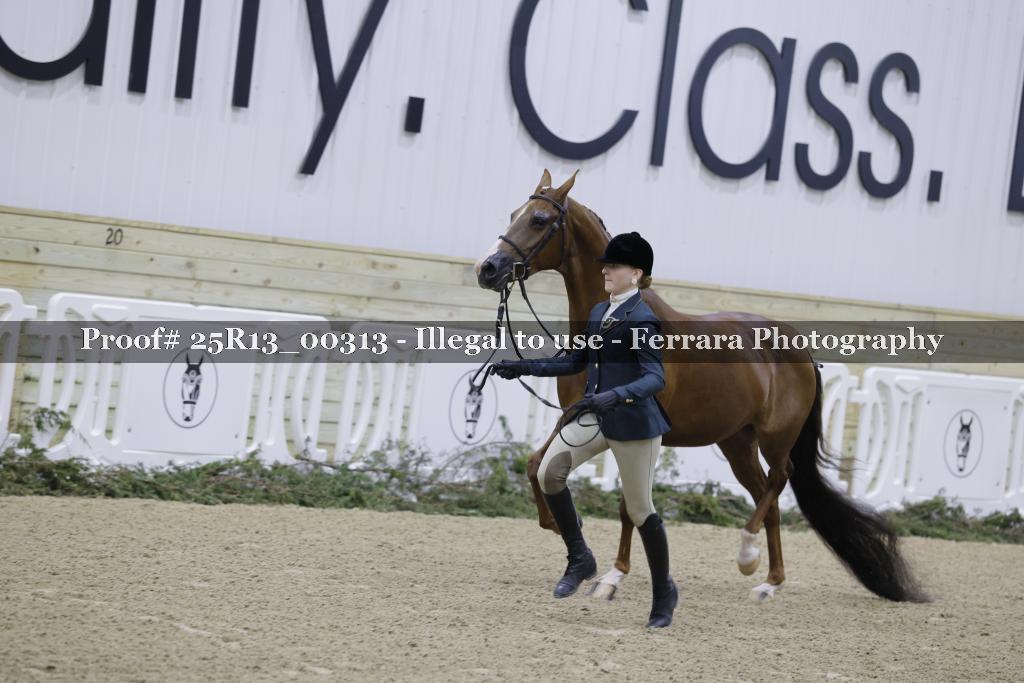Proof 25R13_00313