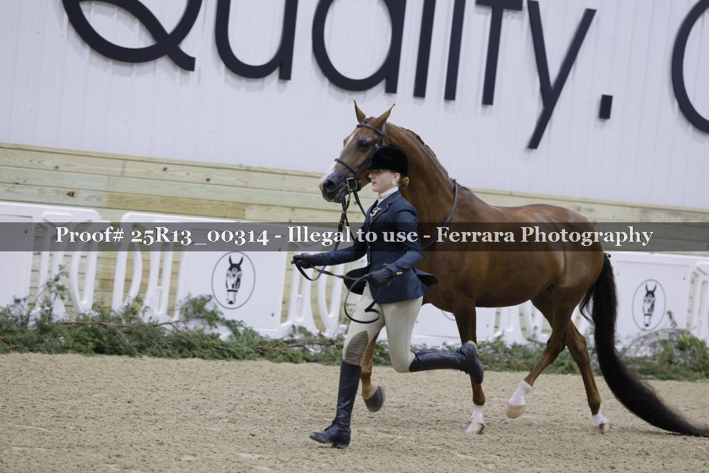 Proof 25R13_00314