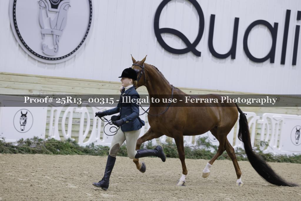 Proof 25R13_00315