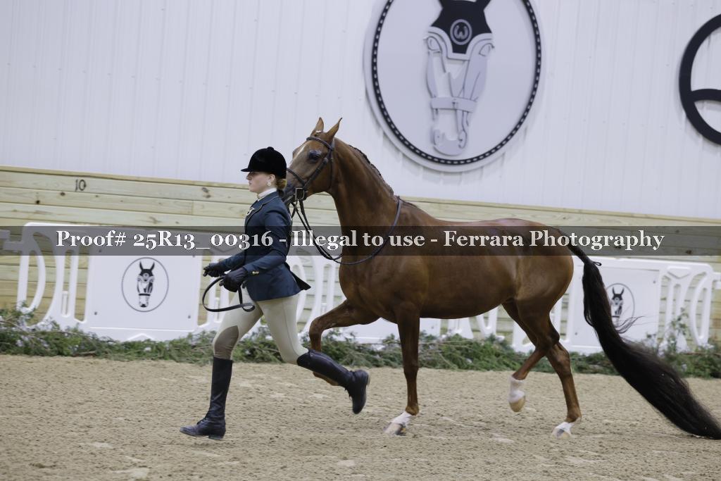 Proof 25R13_00316