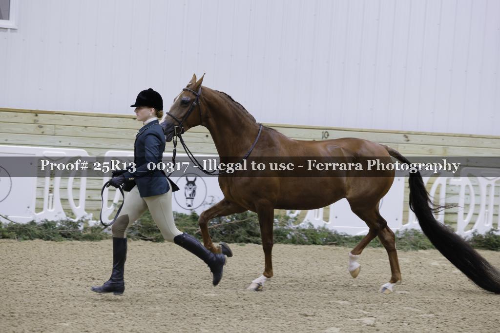 Proof 25R13_00317