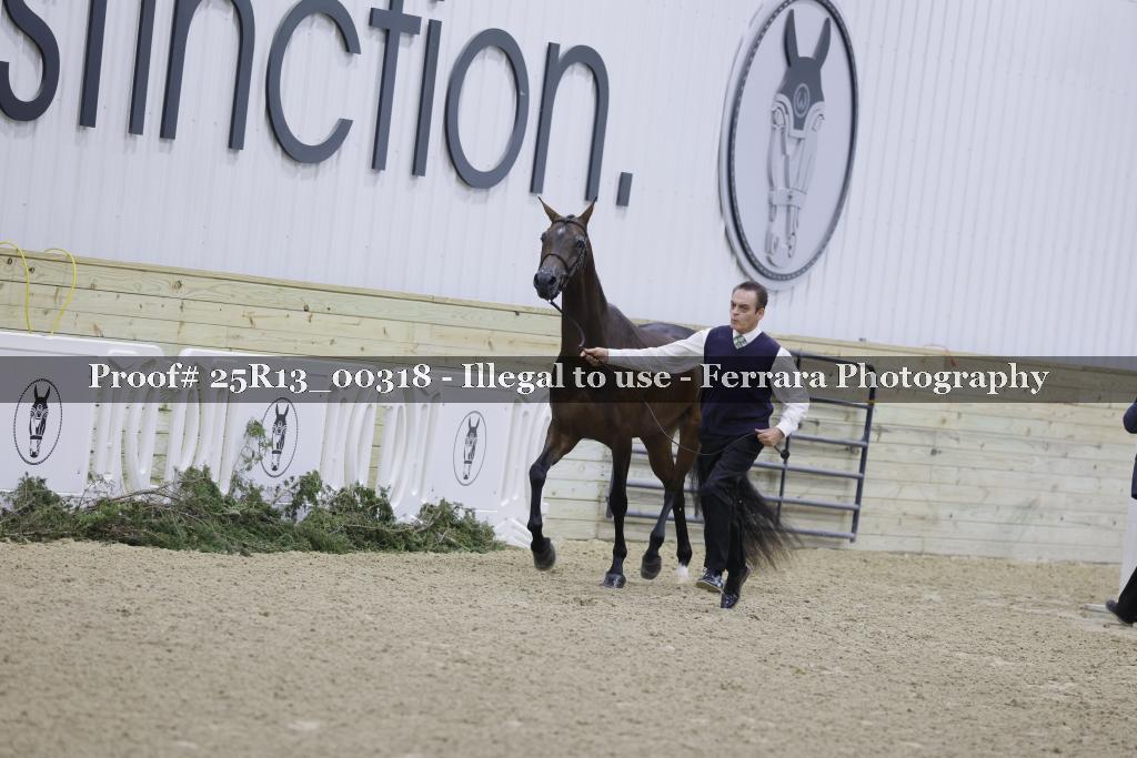 Proof 25R13_00318