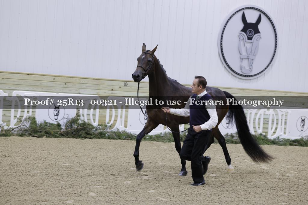 Proof 25R13_00321