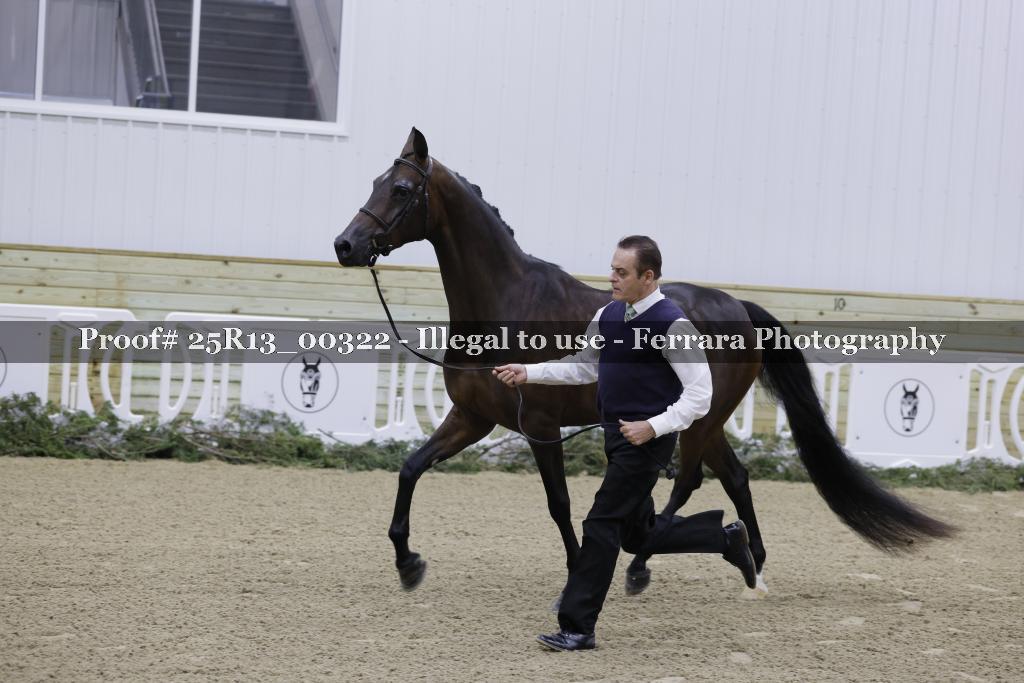 Proof 25R13_00322