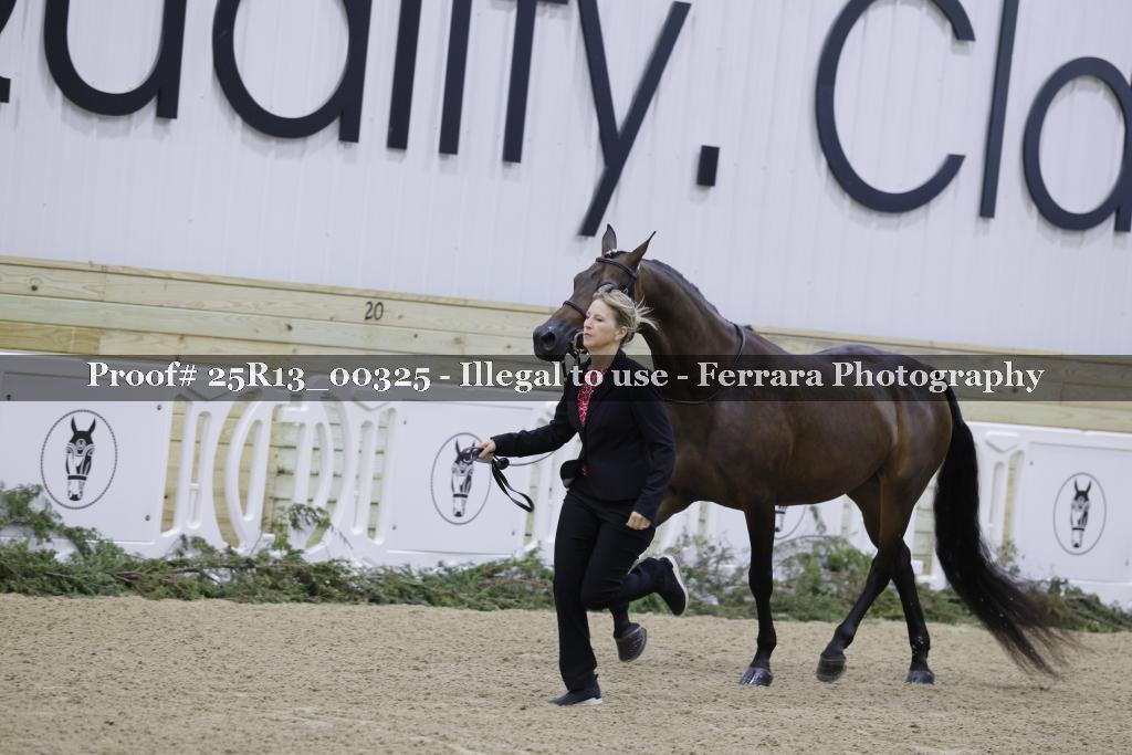 Proof 25R13_00325