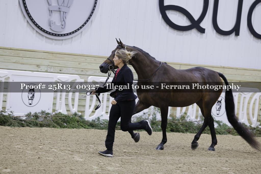 Proof 25R13_00327