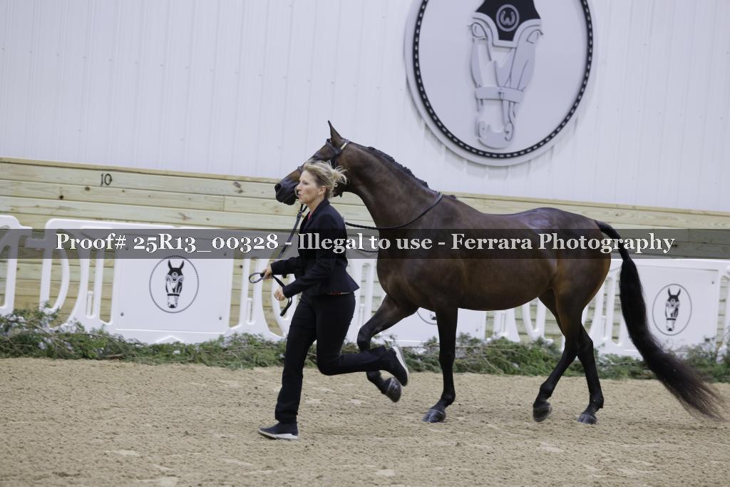 Proof 25R13_00328