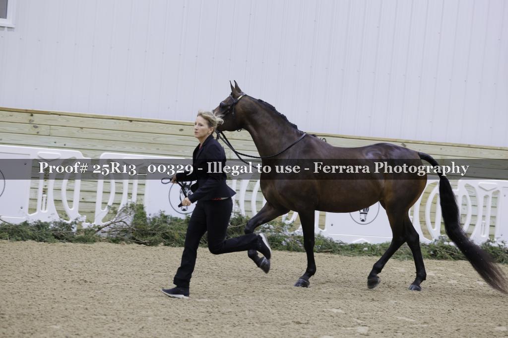 Proof 25R13_00329