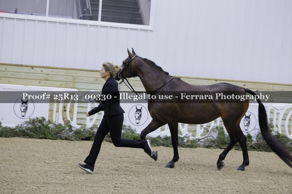 Proof 25R13_00330