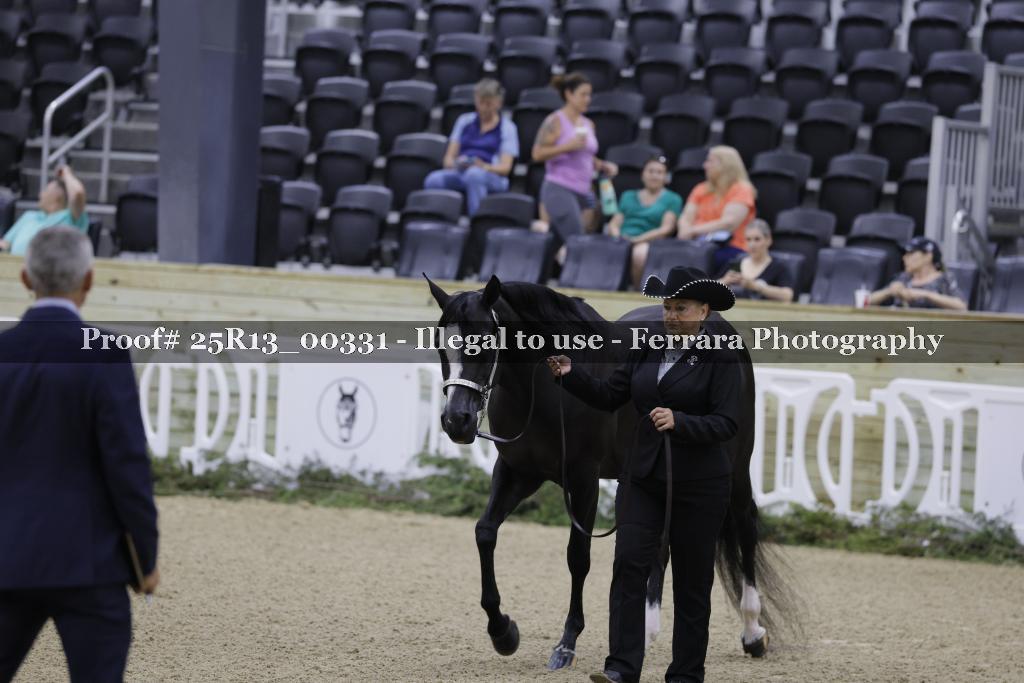 Proof 25R13_00331