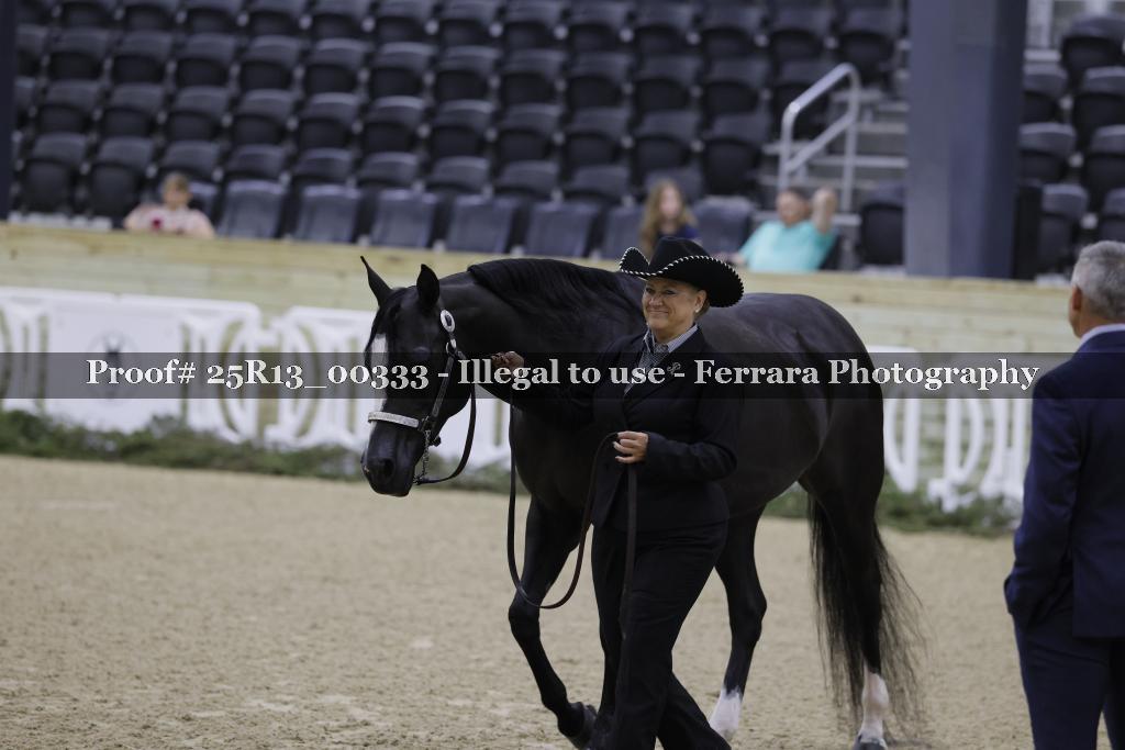 Proof 25R13_00333