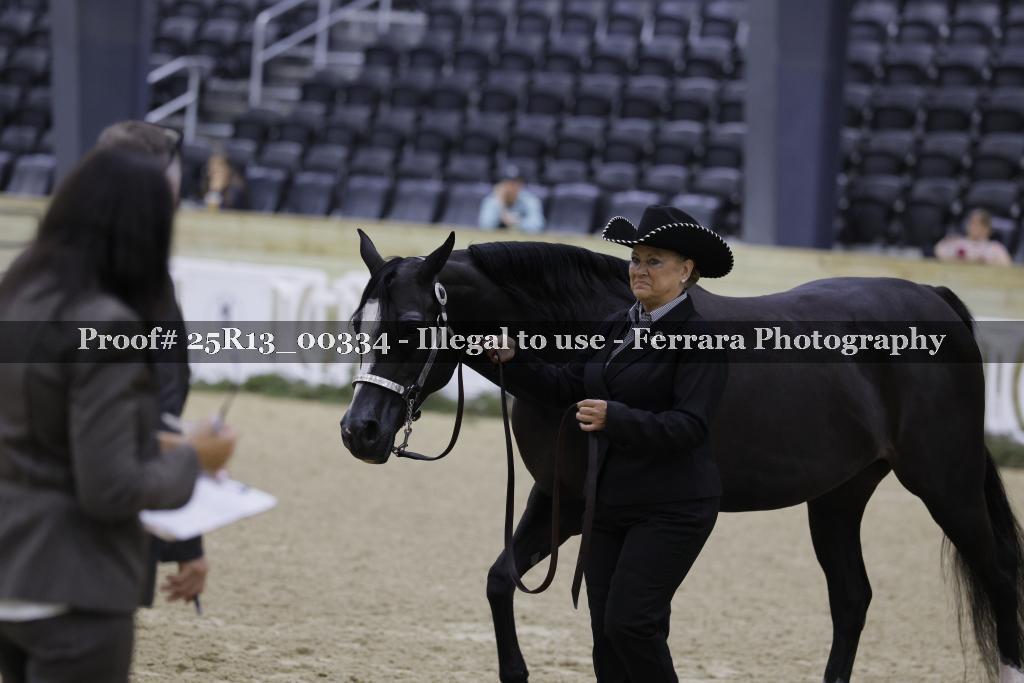 Proof 25R13_00334