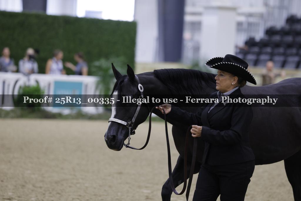 Proof 25R13_00335