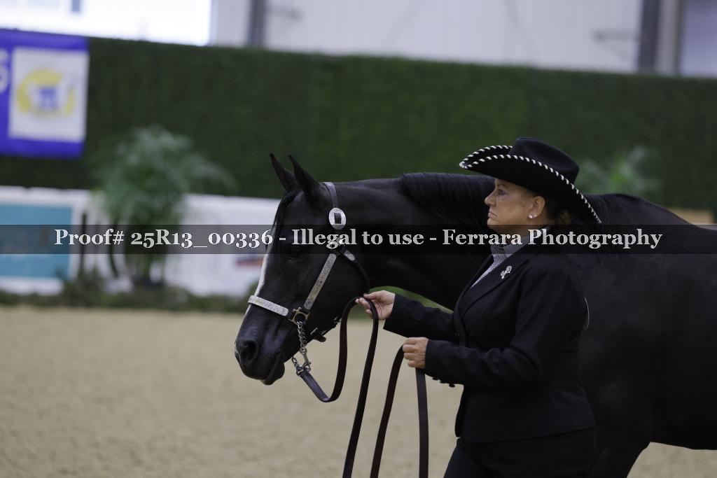 Proof 25R13_00336