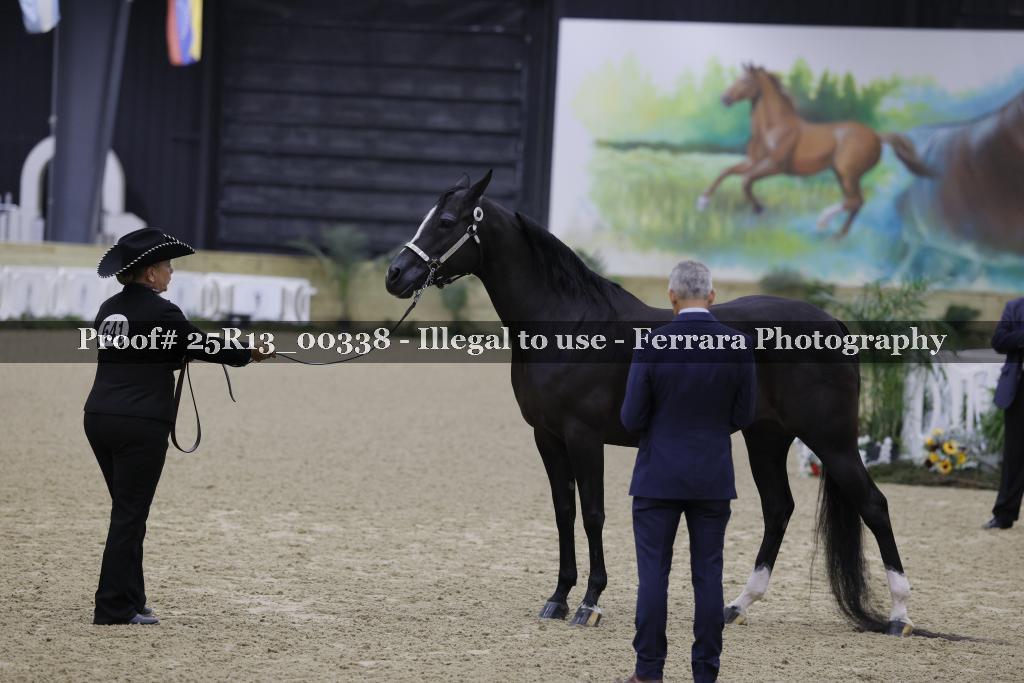 Proof 25R13_00338