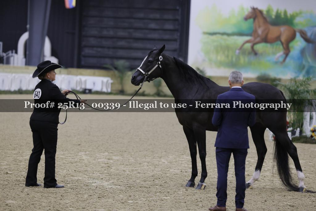 Proof 25R13_00339