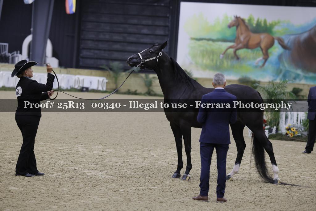 Proof 25R13_00340
