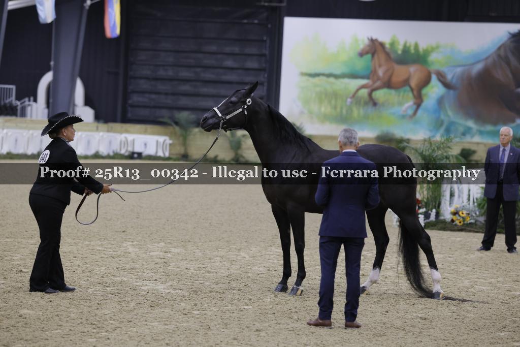 Proof 25R13_00342