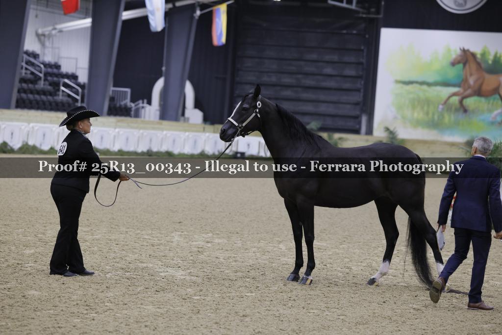 Proof 25R13_00343