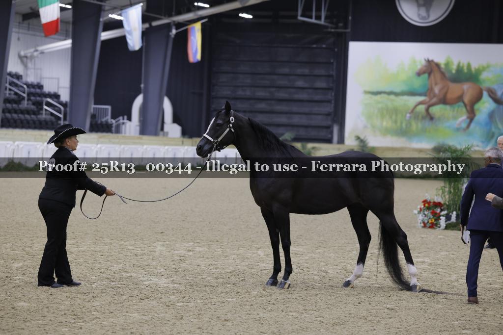 Proof 25R13_00344