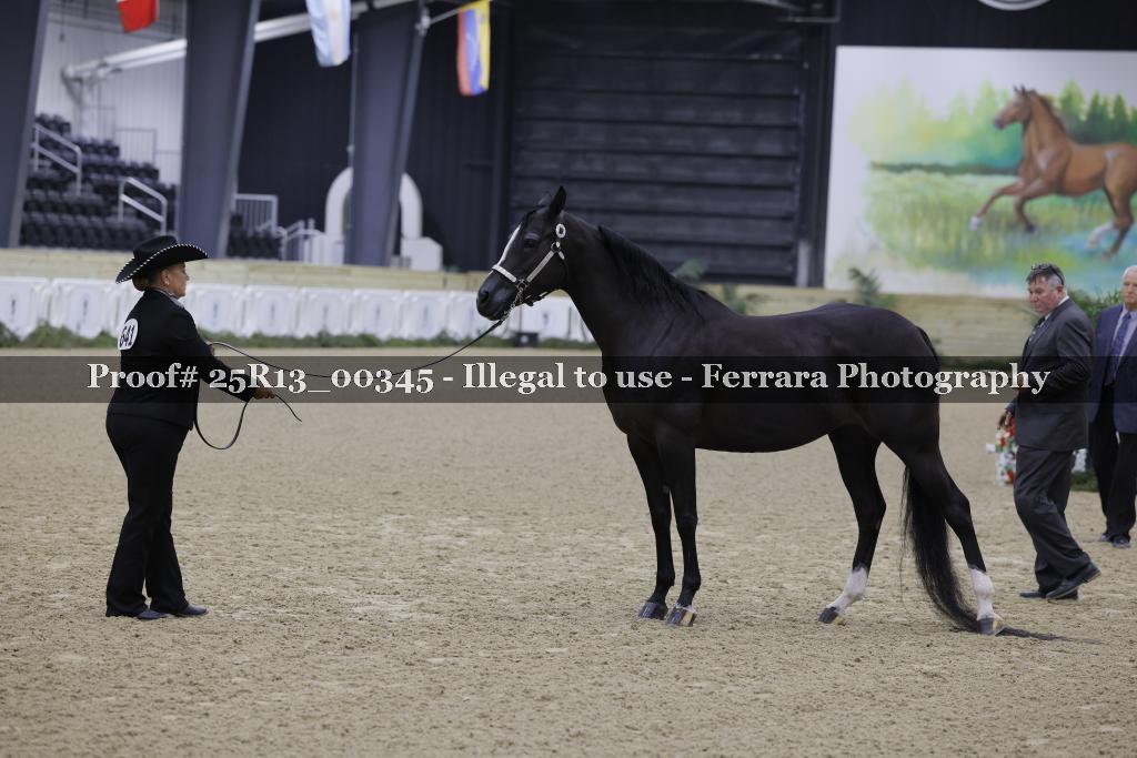 Proof 25R13_00345