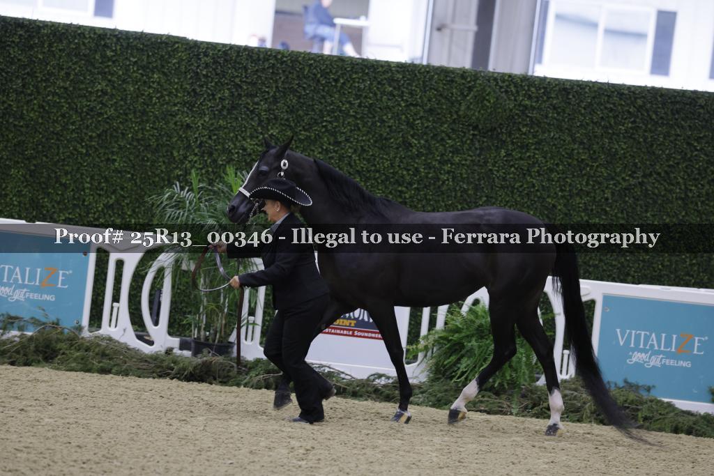 Proof 25R13_00346