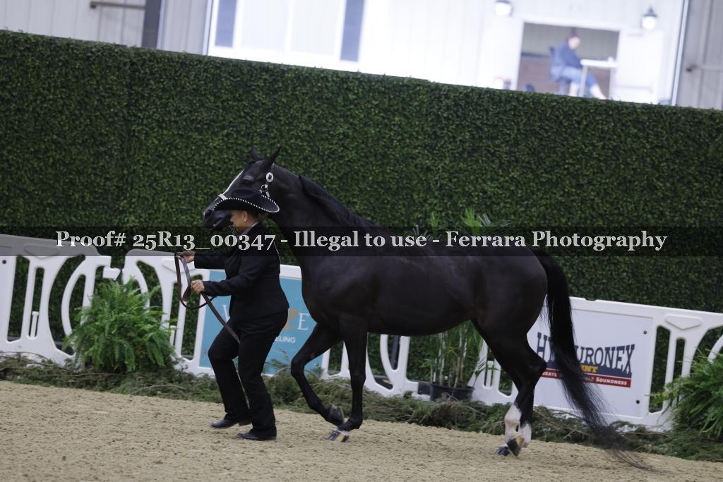 Proof 25R13_00347