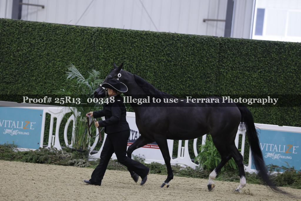 Proof 25R13_00348