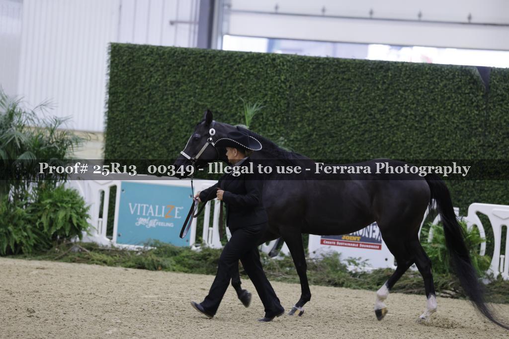 Proof 25R13_00349