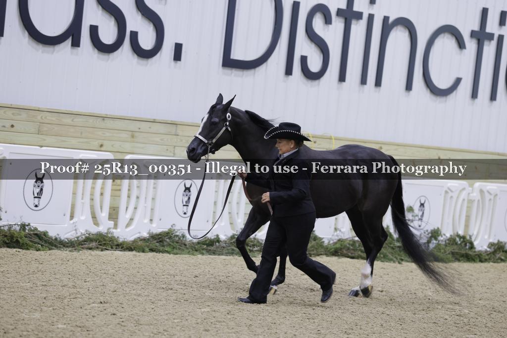 Proof 25R13_00351