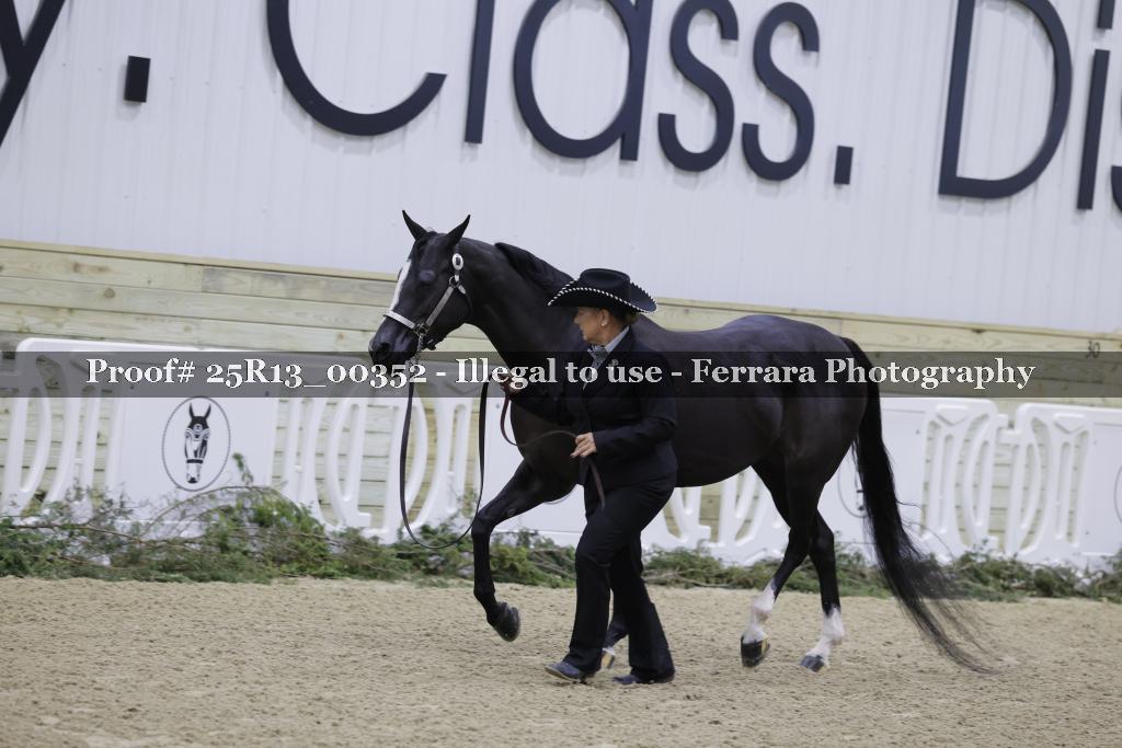 Proof 25R13_00352