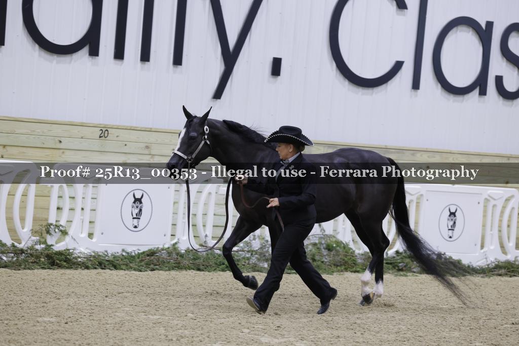 Proof 25R13_00353