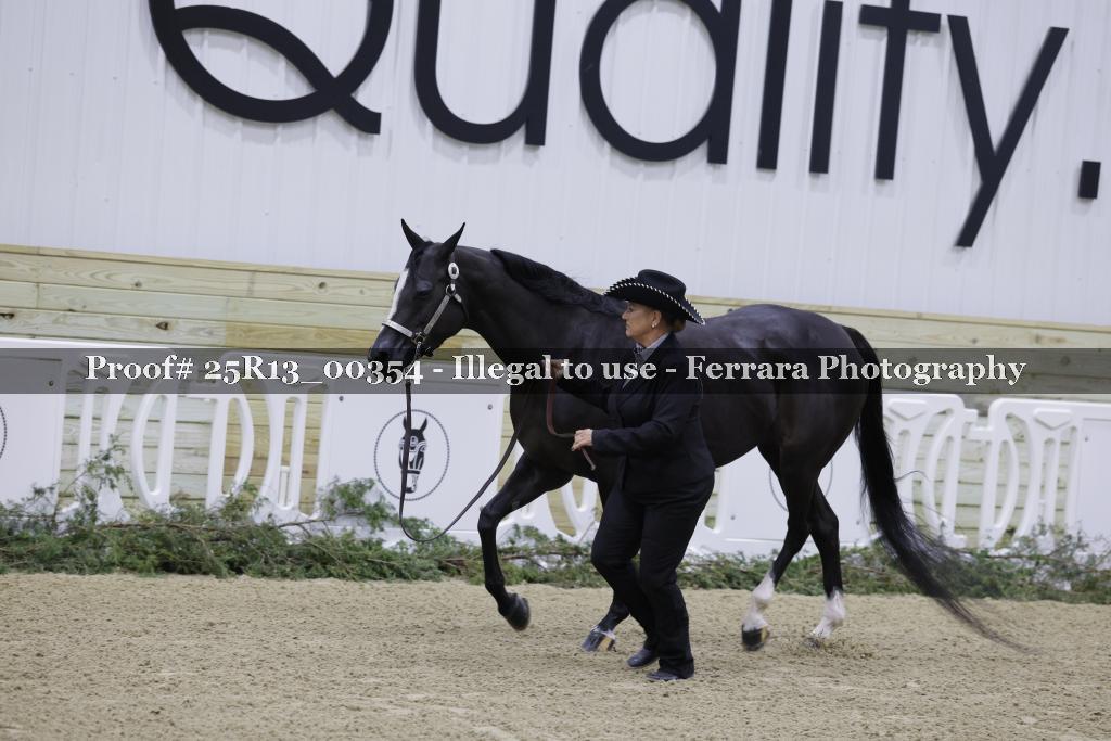 Proof 25R13_00354