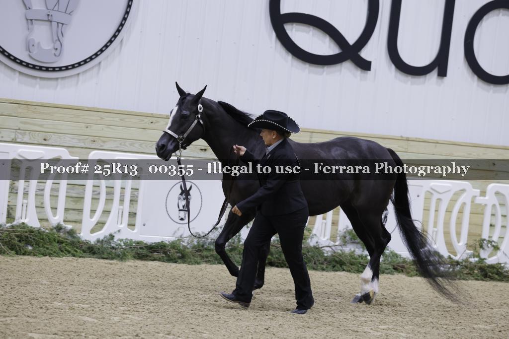 Proof 25R13_00355