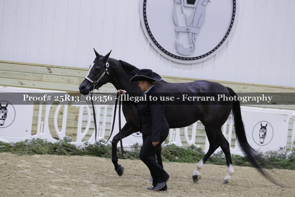 Proof 25R13_00356