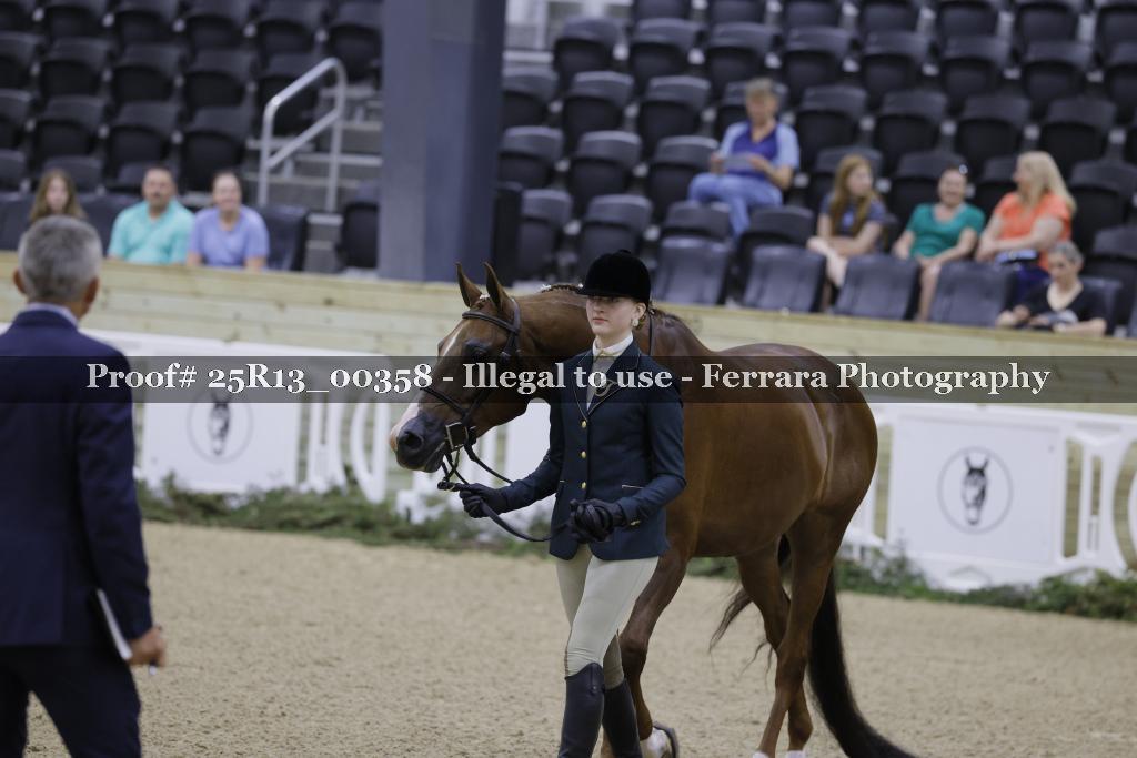 Proof 25R13_00358