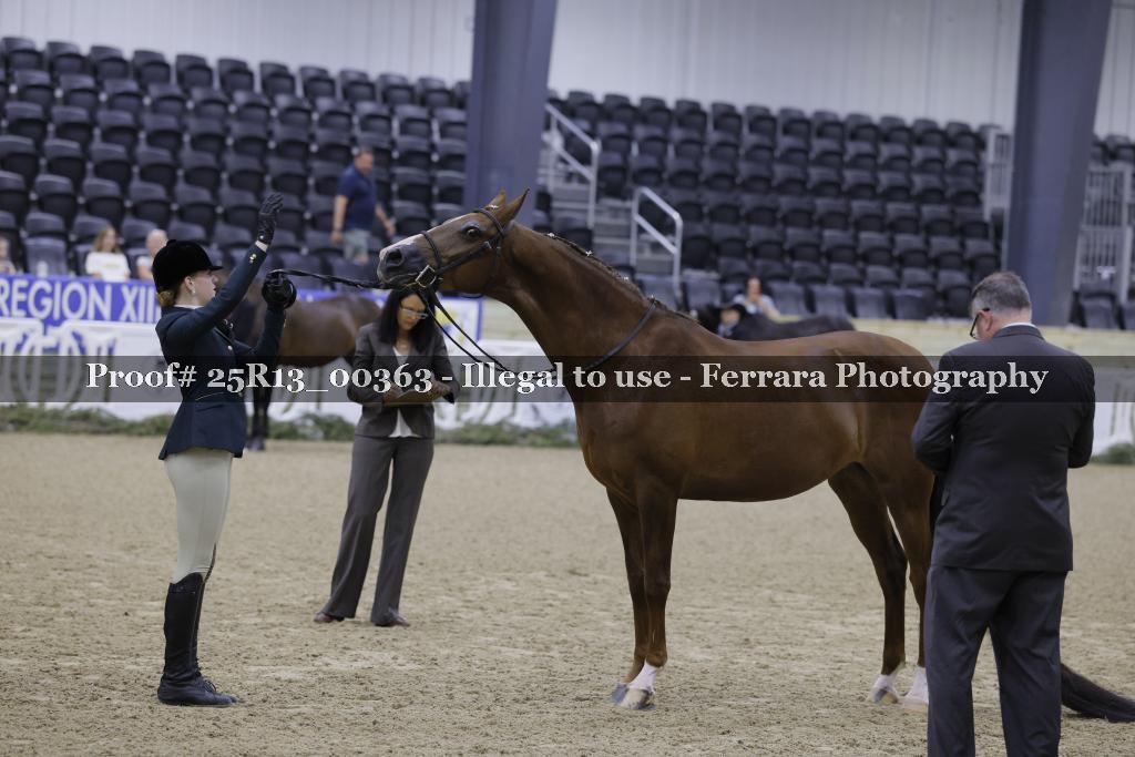 Proof 25R13_00363