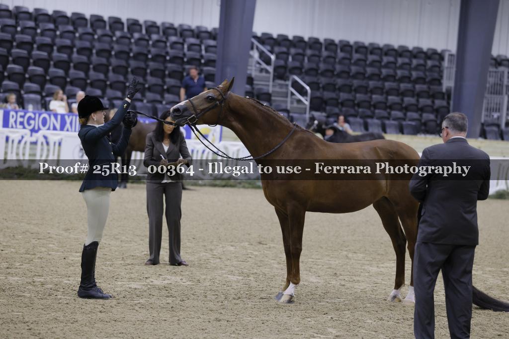 Proof 25R13_00364