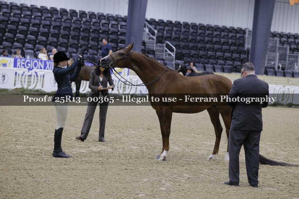 Proof 25R13_00365