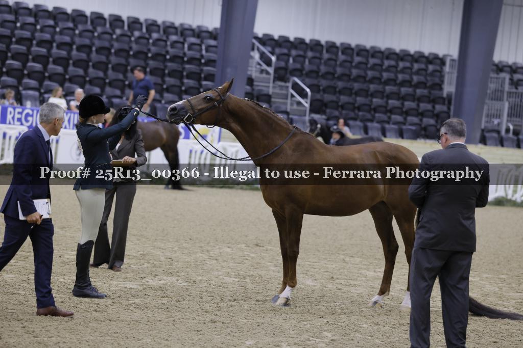 Proof 25R13_00366