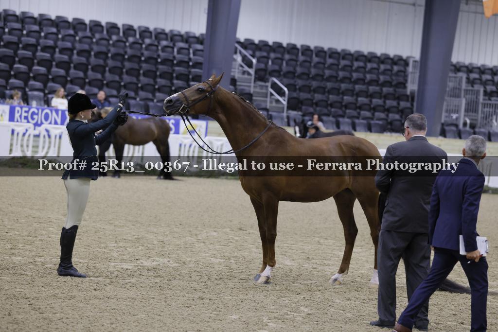 Proof 25R13_00367